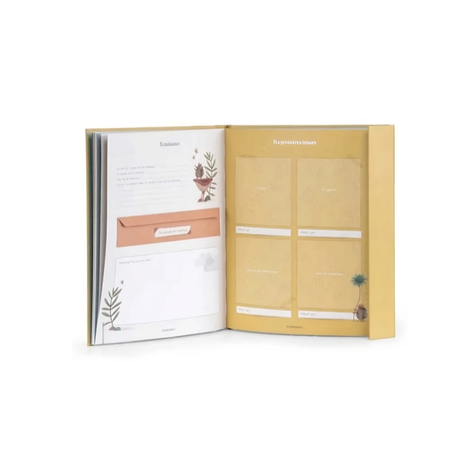 Trois Petits Lapins Livre De Naissance 80 Pages De Moulin Roty 4 Trois Petits Lapins Livre De Naissance 80 Pages De Moulin Roty – Image 2